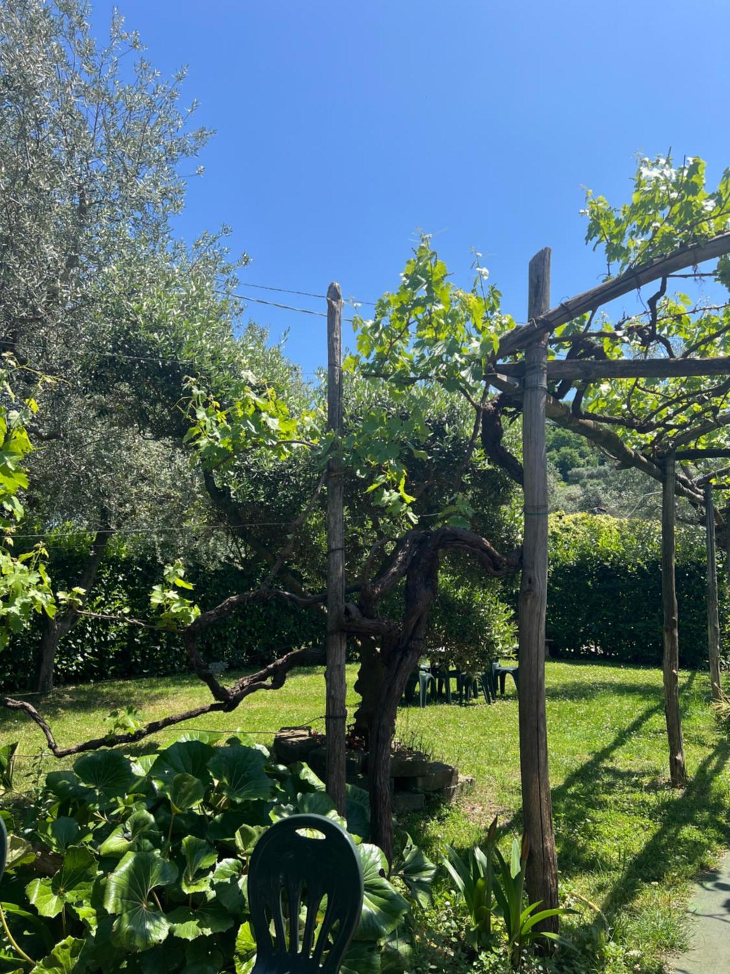 Agriturismo Le Grottelle Villa SantʼAgata sui Due Golfi Dış mekan fotoğraf